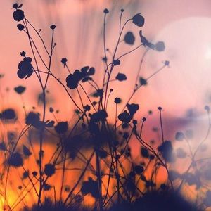 Meet your Posher, Valentina